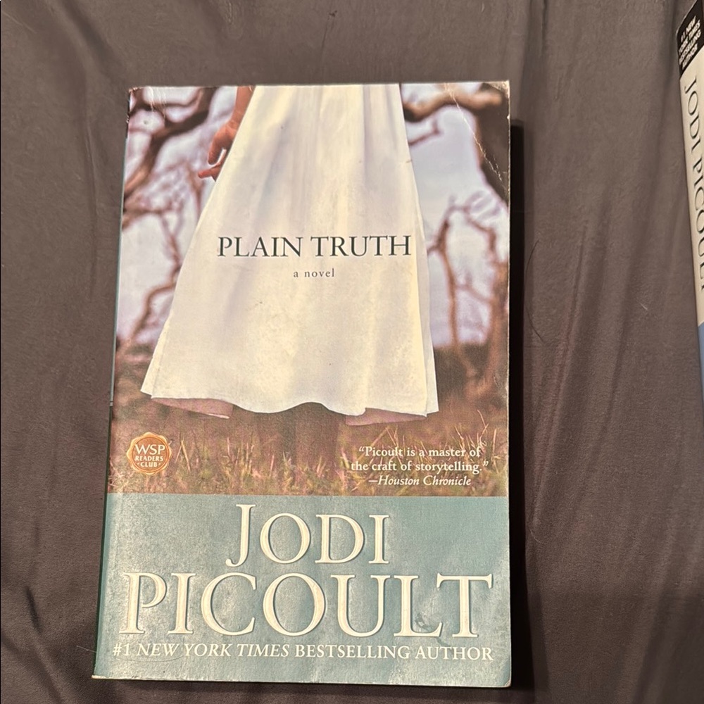 Plain Truth by Jodi Picoult Paperback
